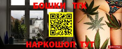 стаф Кандалакша