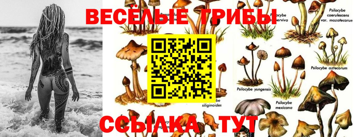 Псилоцибиновые грибы мицелий  Галлюциногенные грибы Cubensis  Вход с VPN  Куйбышев 