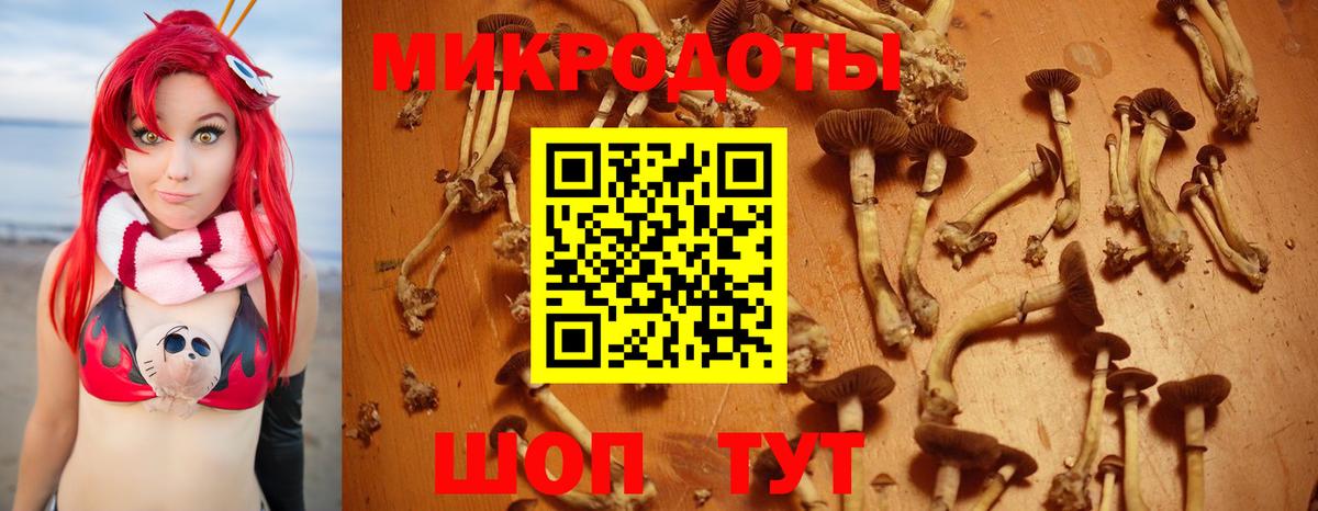 Галлюциногенные грибы прущие грибы Куйбышев
